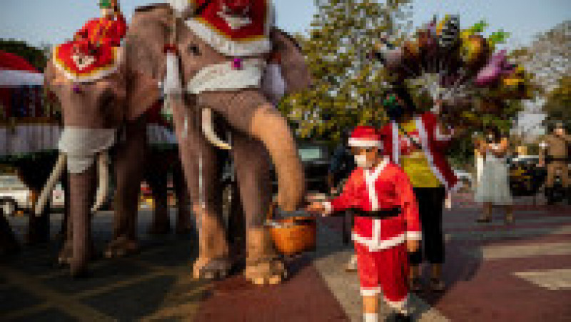 Mai mulţi elefanţi din Thailanda, purtând pălării de Moş Crăciun şi măşti sanitare, au împărţit elevilor cadouri. Foto: Profimedia | Poza 7 din 7