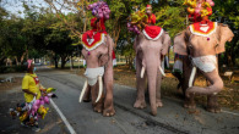 Mai mulţi elefanţi din Thailanda, purtând pălării de Moş Crăciun şi măşti sanitare, au împărţit elevilor cadouri. Foto: Profimedia | Poza 4 din 7