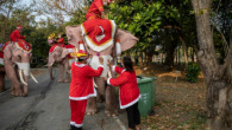 Mai mulţi elefanţi din Thailanda, purtând pălării de Moş Crăciun şi măşti sanitare, au împărţit elevilor cadouri. Foto: Profimedia | Poza 5 din 7