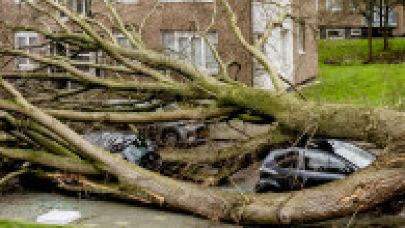 37.000 de locuinţe din nordul Scoţiei au rămas fără electricitate după cele două furtuni. Foto: Profimedia Images | Poza 7 din 15