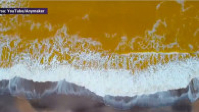 Marea Neagră s-a făcut galbenă. Foto: Captură video | Poza 2 din 5