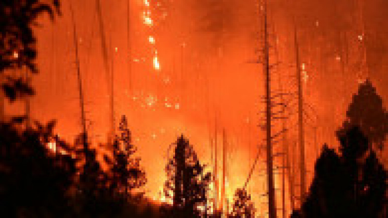 Incendiul Dixie Fire din California. Sursa foto: Profimedia Images | Poza 17 din 38