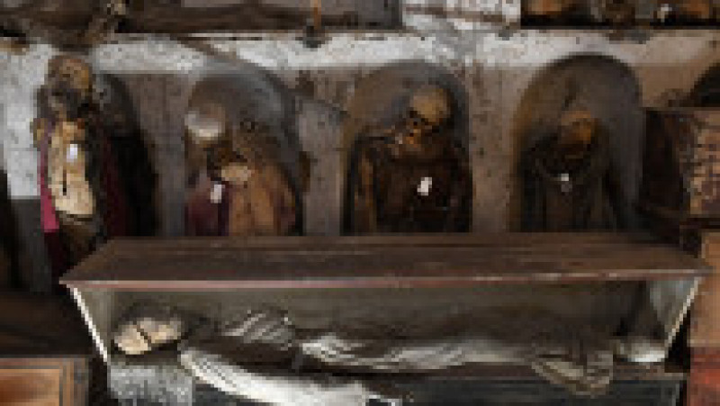 Cadavrele mumificate din Catacombele Capucinilor din Palermo FOTO: Profimedia Images | Poza 2 din 12