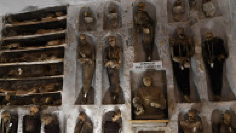 Cadavrele mumificate din Catacombele Capucinilor din Palermo FOTO: Profimedia Images | Poza 1 din 12