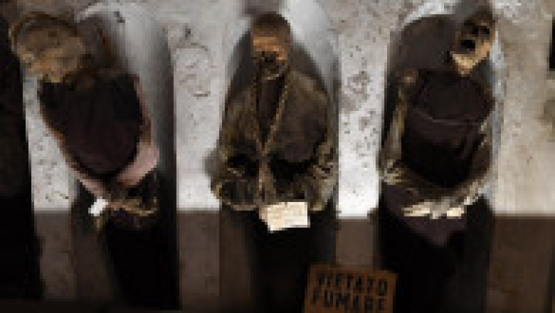 Cadavrele mumificate din Catacombele Capucinilor din Palermo FOTO: Profimedia Images | Poza 12 din 12