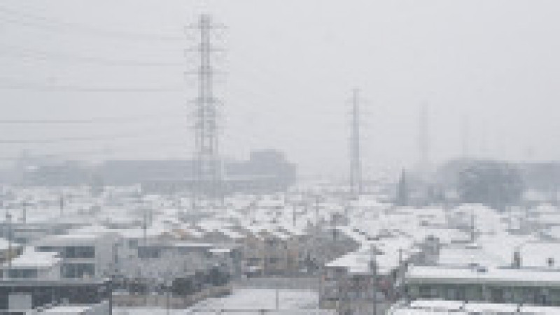 Tokyo a fost afectat de o ninsoare neobișnuit de abundentă. FOTO: Profimedia Images | Poza 3 din 13