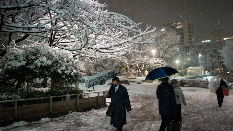 Tokyo a fost afectat de o ninsoare neobișnuit de abundentă. FOTO: Profimedia Images