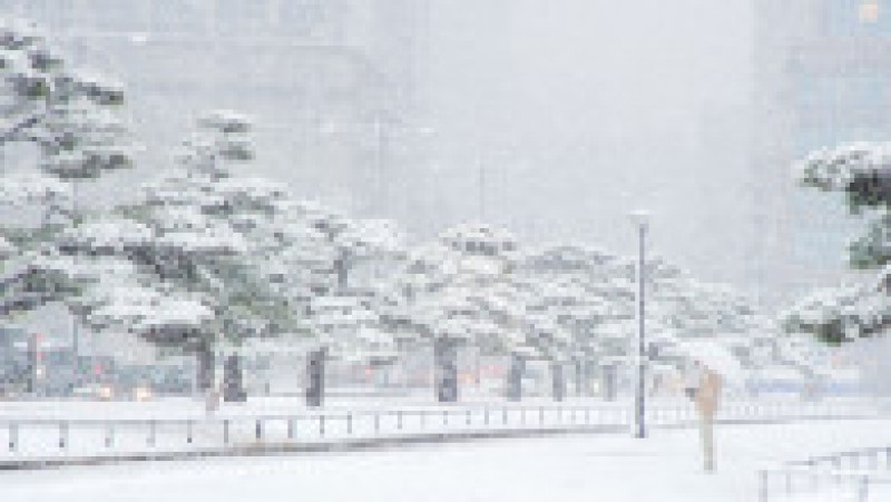 Tokyo a fost afectat de o ninsoare neobișnuit de abundentă. FOTO: Profimedia Images | Poza 12 din 13