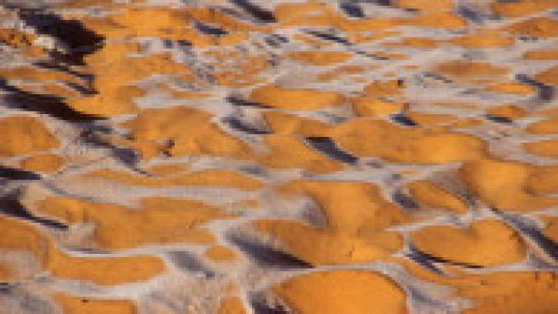 Ninsoare în deșertul Sahara. Sursa foto: Profimedia Images | Poza 16 din 19