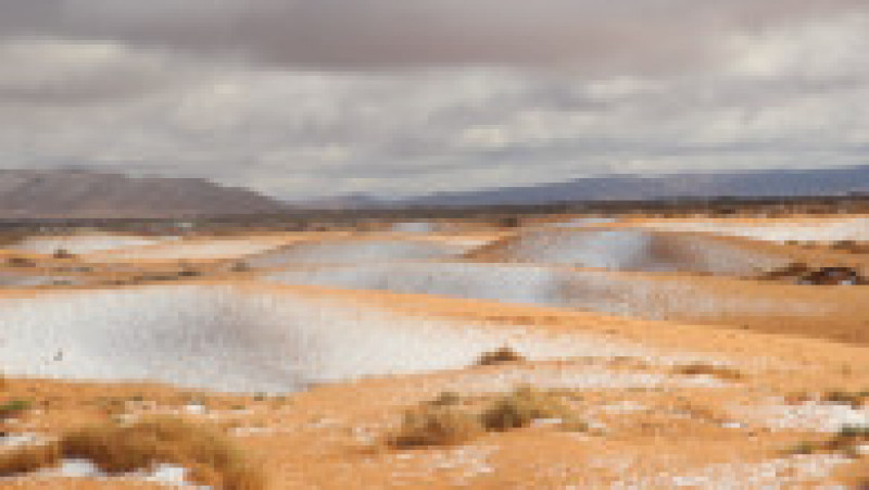 Ninsoare în deșertul Sahara. Sursa foto: Profimedia Images | Poza 14 din 19