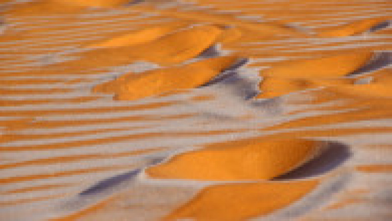 Ninsoare în deșertul Sahara. Sursa foto: Profimedia Images | Poza 13 din 19
