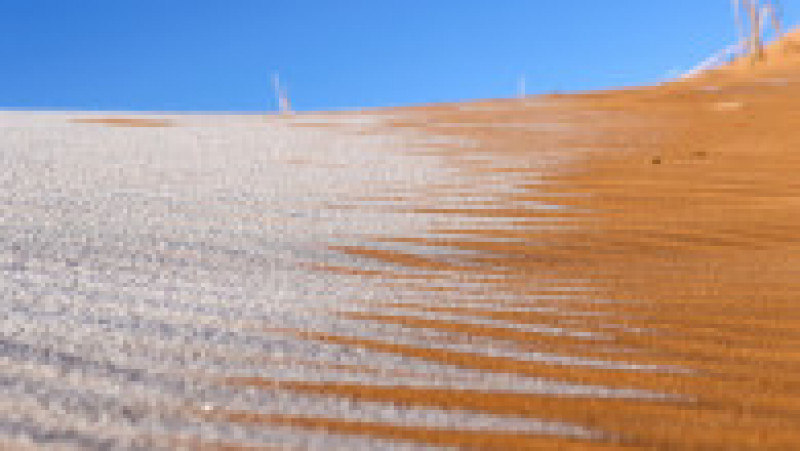Ninsoare în deșertul Sahara. Sursa foto: Profimedia Images | Poza 19 din 19