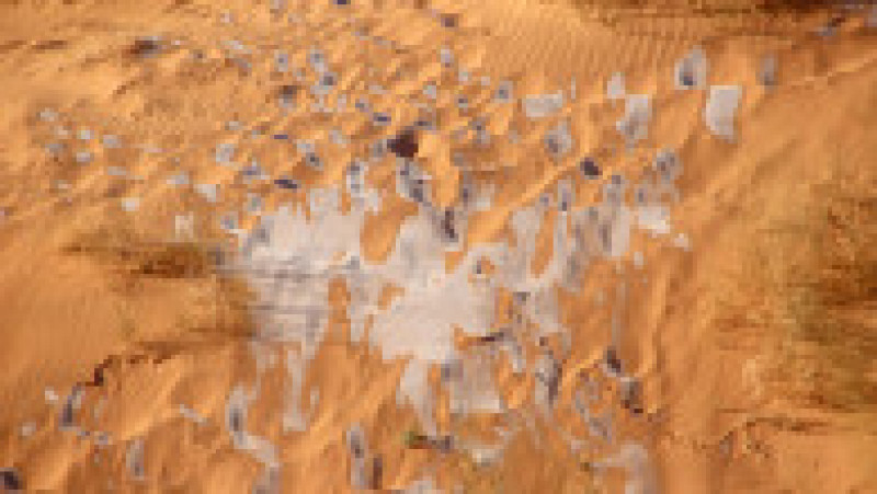Ninsoare în deșertul Sahara. Sursa foto: Profimedia Images | Poza 8 din 19