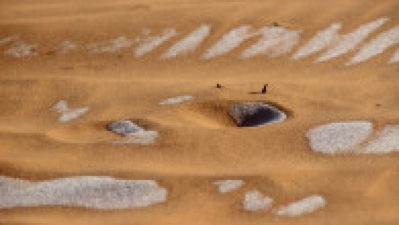 Ninsoare în deșertul Sahara. Sursa foto: Profimedia Images | Poza 7 din 19