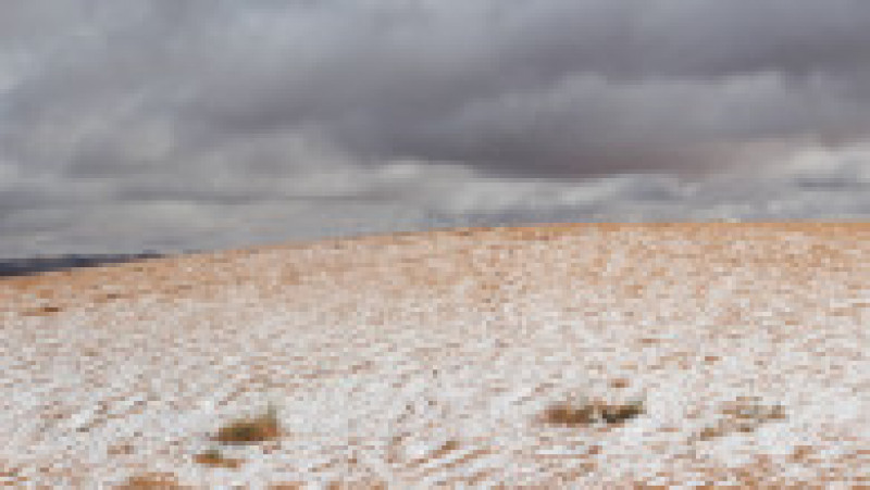 Ninsoare în deșertul Sahara. Sursa foto: Profimedia Images | Poza 3 din 19