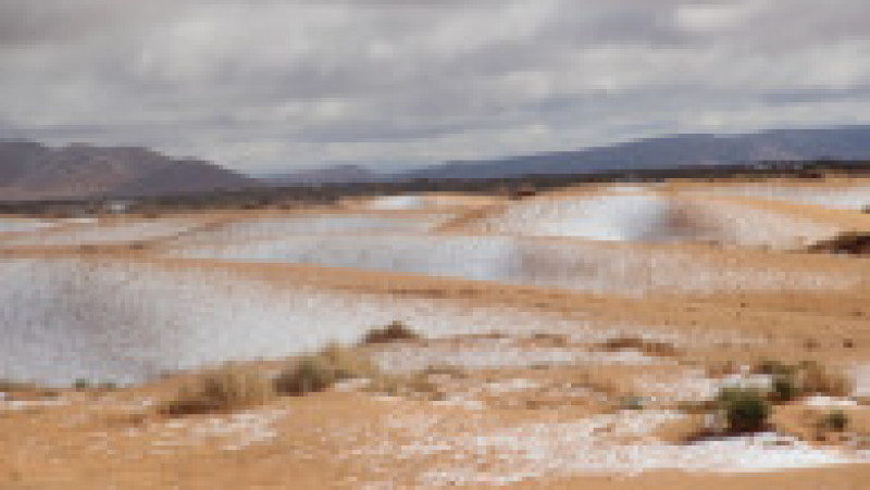 Ninsoare în deșertul Sahara. Sursa foto: Profimedia Images | Poza 9 din 19