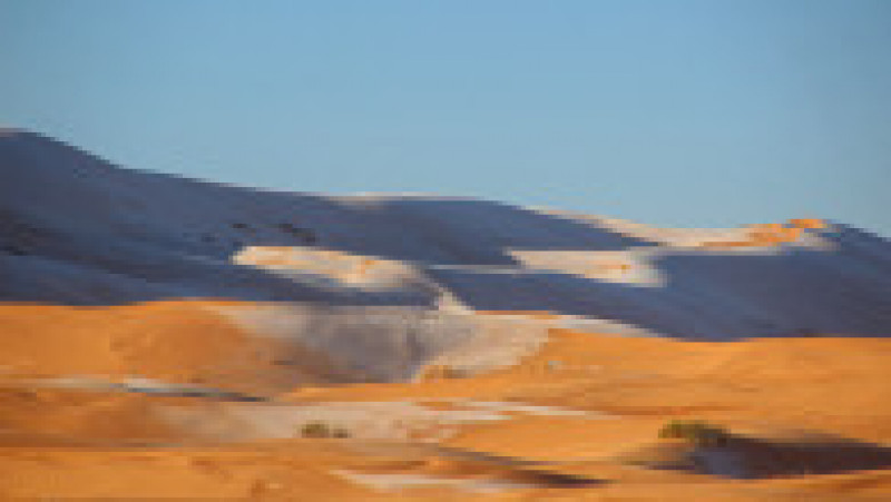 Ninsoare în deșertul Sahara. Sursa foto: Profimedia Images | Poza 12 din 19