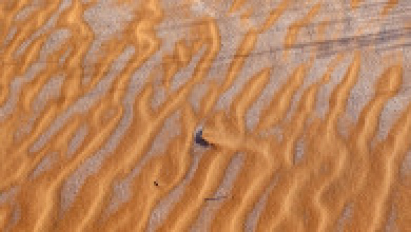 Ninsoare în deșertul Sahara. Sursa foto: Profimedia Images | Poza 10 din 19