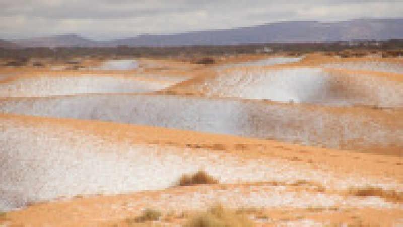 Ninsoare în deșertul Sahara. Sursa foto: Profimedia Images | Poza 2 din 19