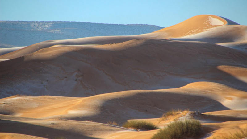 Ninsoare în deșertul Sahara. Sursa foto: Profimedia Images