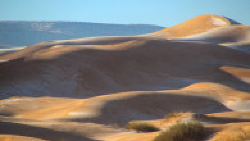 Ninsoare în deșertul Sahara. Sursa foto: Profimedia Images | Poza 1 din 19
