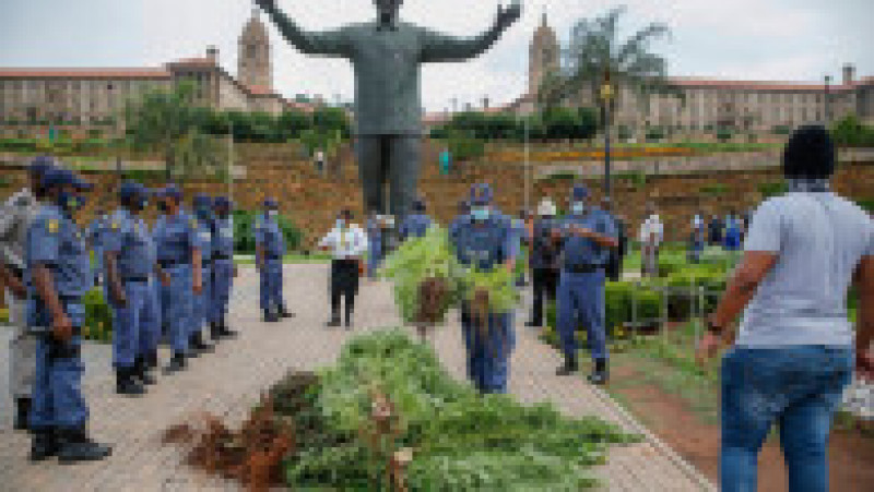 "Regele Khoisan" din Africa de Sud a fost arestat după ce a crescut cannabis lângă palatul prezidențial. Sursa foto: Profimedia Images | Poza 9 din 17
