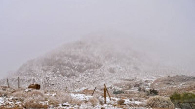 Zăpadă în deșertul arab. Foto: Profimedia Images | Poza 4 din 5