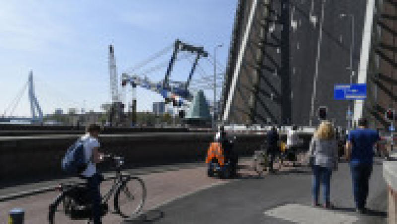 Podul Koninginnebrug, situat lângă podul Koningshaven. Sursa foto: Profimedia Images | Poza 4 din 7