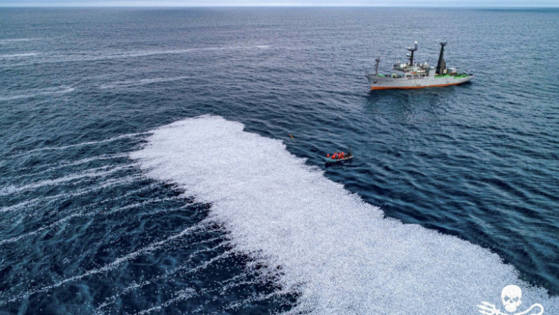 O cantitate mare de pești „nefolositori” ar fi fost aruncată în mare de un vas de pescuit Foto: Profimedia Images