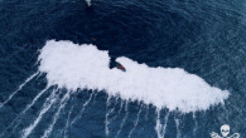 Un vas olandez de pescuit susține că peștii morți au ajuns în ocean pentru că i s-a rupt năvodul Foto: Profimedia Images | Poza 2 din 4