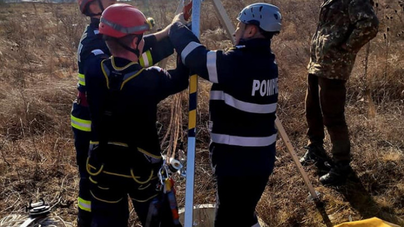 Un cățel din Hunedoara a căzut într-un puț adânc de 12 metri FOTO: ISU Hunedoara