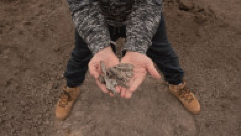 Schije provocate de bombadamentele din estul Ucrainei, în localitatea Stanița Lugansk. Foto: Profimedia | Poza 5 din 13