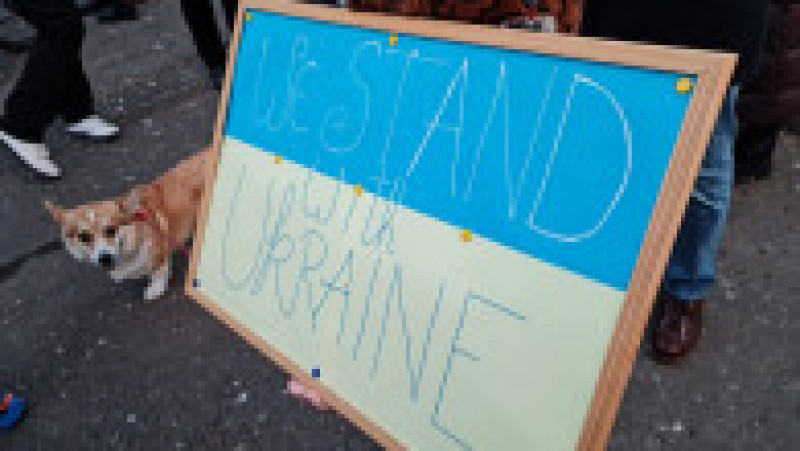 Manifestație de solidaritate cu Ucraina la București. | Poza 6 din 10