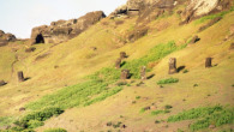 Parcul Național Rapa Nui din Insula Paștelui. Sursa foto: Profimedia Images | Poza 27 din 28