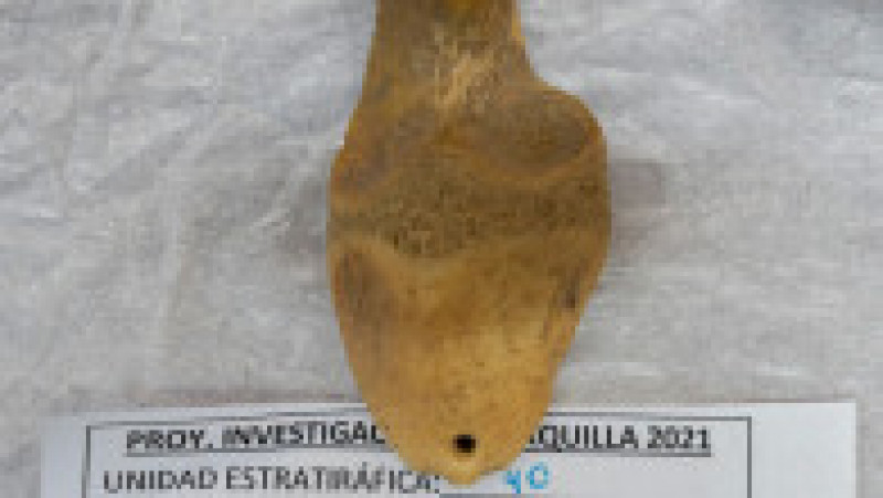 Alături de obiectele funerare, au mai fost descoperite artefacte muzicale, cum ar fi „zampońa”, un instrument de suflat de origine andină. Foto: Profimedia Images | Poza 15 din 22