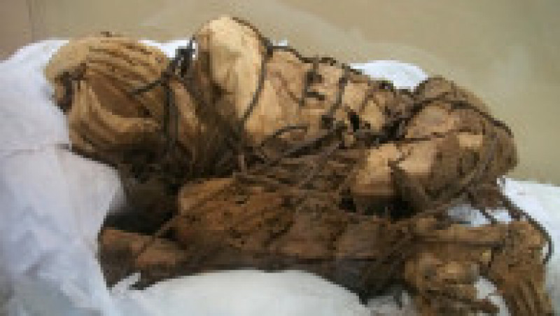Rămăşiţele au fost descoperite în exteriorul unui mormânt subteran, unde echipa de la Universitatea San Marcos din Peru a dezgropat în noiembrie o mumie antică. Foto: Profimedia Images | Poza 1 din 22