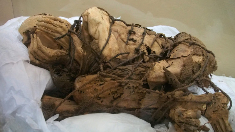 Rămăşiţele au fost descoperite în exteriorul unui mormânt subteran, unde echipa de la Universitatea San Marcos din Peru a dezgropat în noiembrie o mumie antică. Foto: Profimedia Images