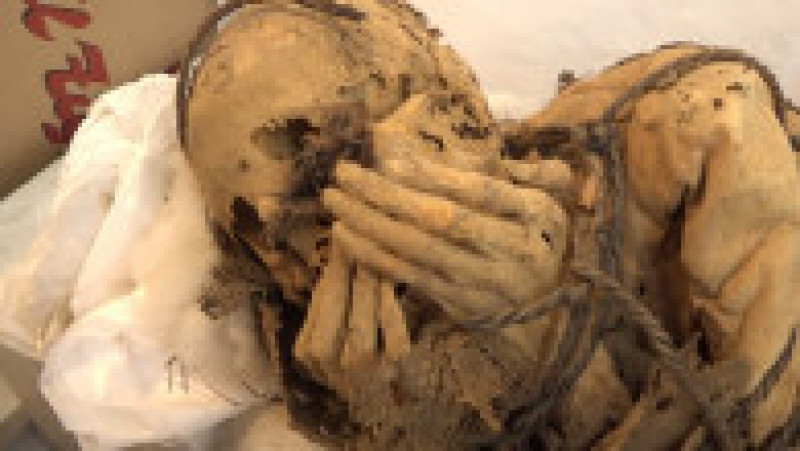 Rămăşiţele au fost descoperite în exteriorul unui mormânt subteran, unde echipa de la Universitatea San Marcos din Peru a dezgropat în noiembrie o mumie antică. Foto: Profimedia Images | Poza 21 din 22