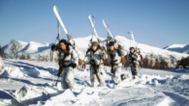 Cold Response 2022 este cel mai mare exercițiu care implică NATO în acest an. Foto: Profimedia Images | Poza 4 din 9