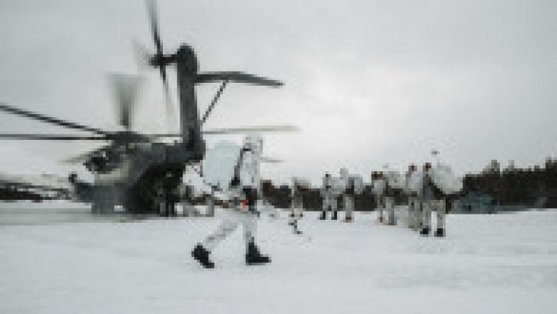 Cold Response 2022 este cel mai mare exercițiu care implică NATO în acest an. Foto: Profimedia Images | Poza 1 din 9