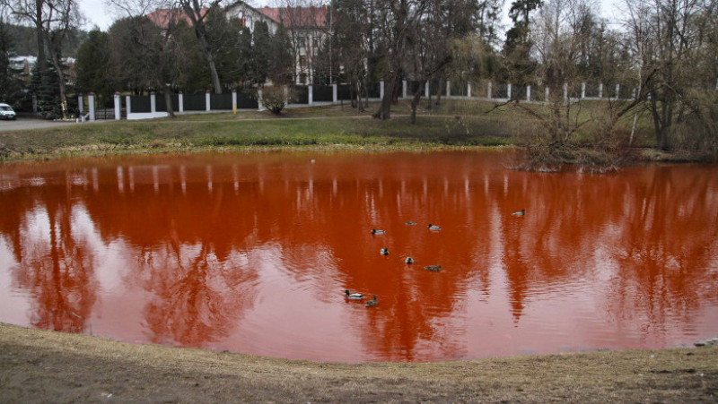 Lacul din fața Ambasadei Rusiei din capitala Lituaniei a fost colorat în roșu. FOTO: INQUAM PHOTOS - Adriana Neagoe