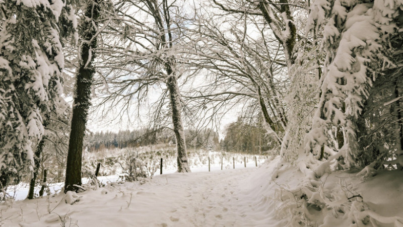 Ger și zăpezi în vestul Europei. FOTO: Profimedia Images