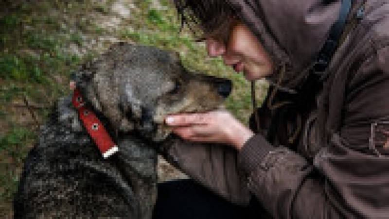 Oleksandra Țifruliak, voluntară, ajută animalele abandonate să ajungă în siguranță la un adăpost. Foto: Profimedia Images | Poza 5 din 11