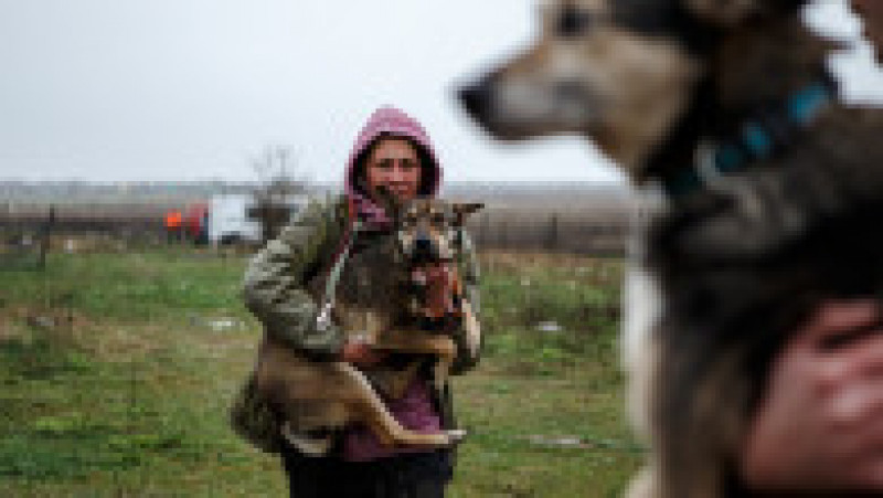 Voluntarii încearcă să salveze animalele abandonate în iadul provocat de invazia rușilor. Foto de la adăpostul de animale „Toți avem a doua șansă”: Profimedia Images | Poza 2 din 11