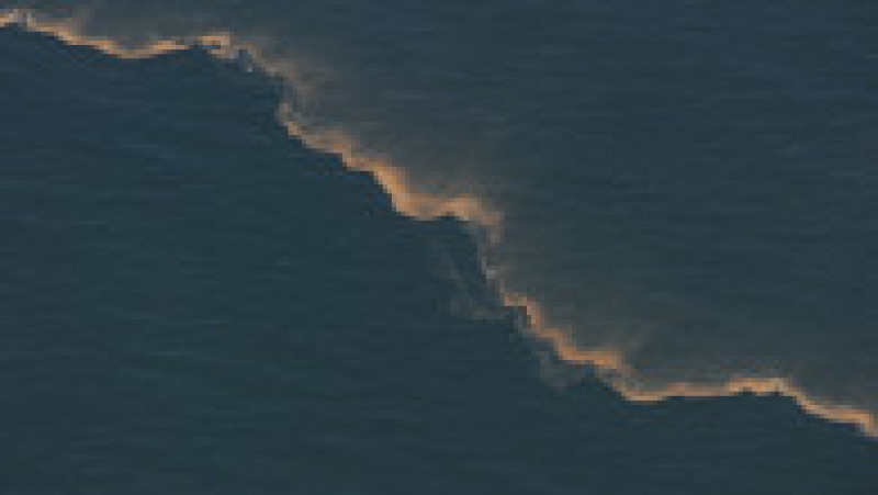 Poluare cu petrol în Golful Mexicului. Sursa foto: Profimedia Images | Poza 8 din 26