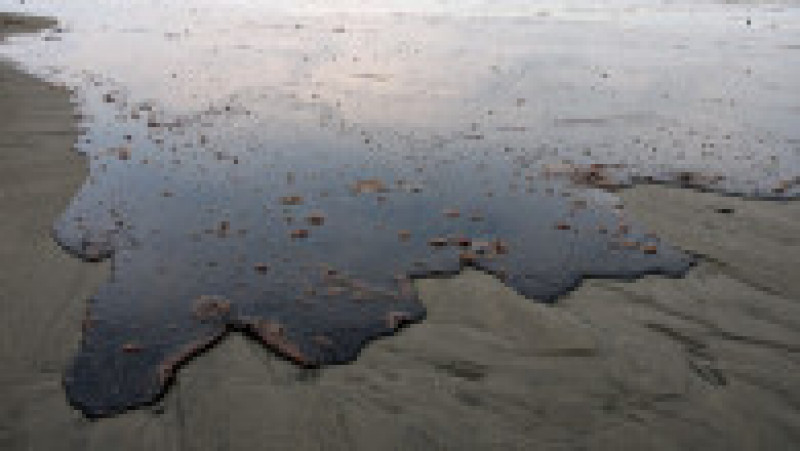 Poluare cu petrol în Golful Mexicului. Sursa foto: Profimedia Images | Poza 18 din 26