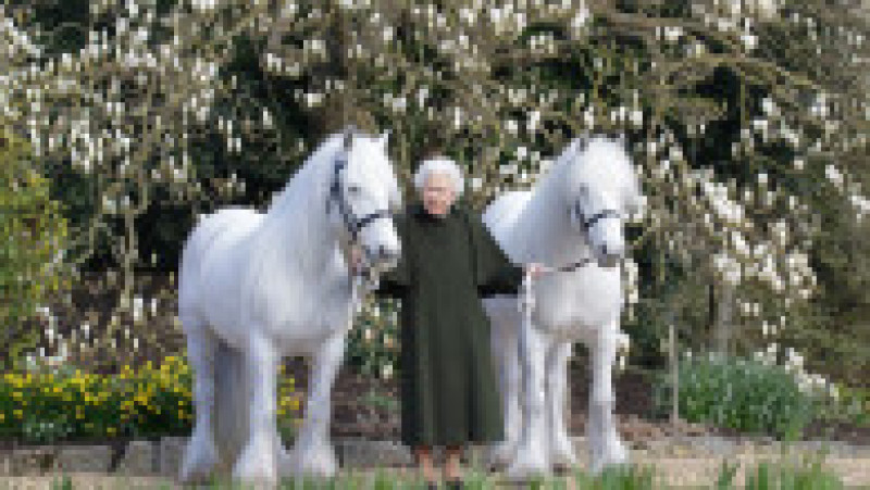 Fotografia oficială publicată de Casa Regală în ziua în care Regina Elisabeta a II-a a împlinit 96 de ani FOTO: Profimedia Images | Poza 14 din 44