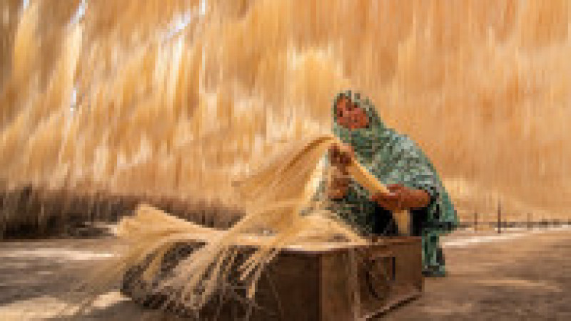 Tăițeii de la fabrica din Bogura, Bangladesh, sunt lăsați să se usuce natural, la soare, înainte de a fi împachetați. Foto: Profimedia | Poza 3 din 13