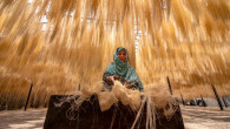 Tăițeii de la fabrica din Bogura, Bangladesh, sunt lăsați să se usuce natural, la soare, înainte de a fi împachetați. Foto: Profimedia | Poza 1 din 13