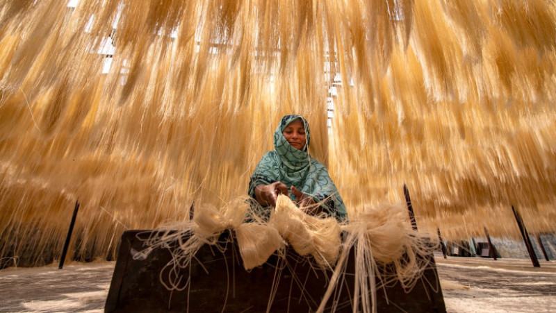 Tăițeii de la fabrica din Bogura, Bangladesh, sunt lăsați să se usuce natural, la soare, înainte de a fi împachetați. Foto: Profimedia